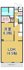 Banksiaの画像