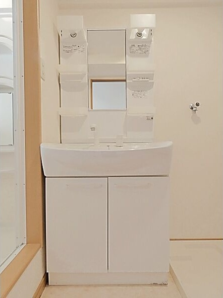 メゾン親名の洗面所