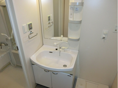 熊本市中央区新大江２丁目の賃貸マンションの独立洗面台