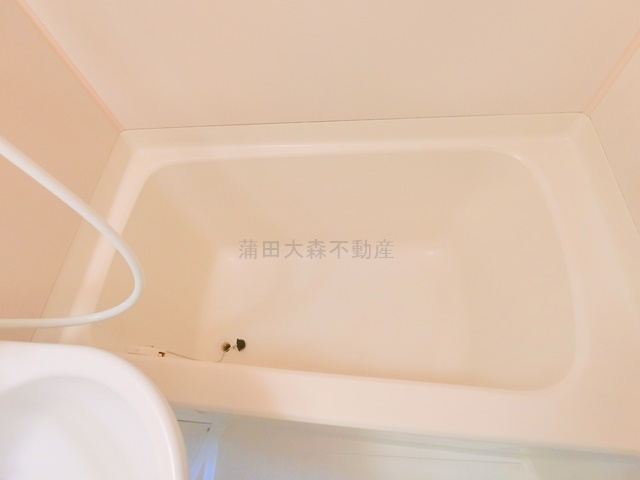 メゾン・レスポワール 　中央の浴室