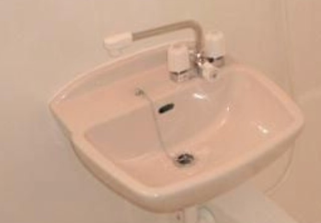 リバーサイド藍蓼（アイタデ）の洗面所