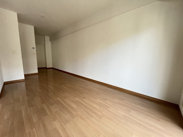 LS西松江城マンションの内装