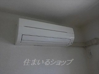 ヴィラ・フィールドのその他