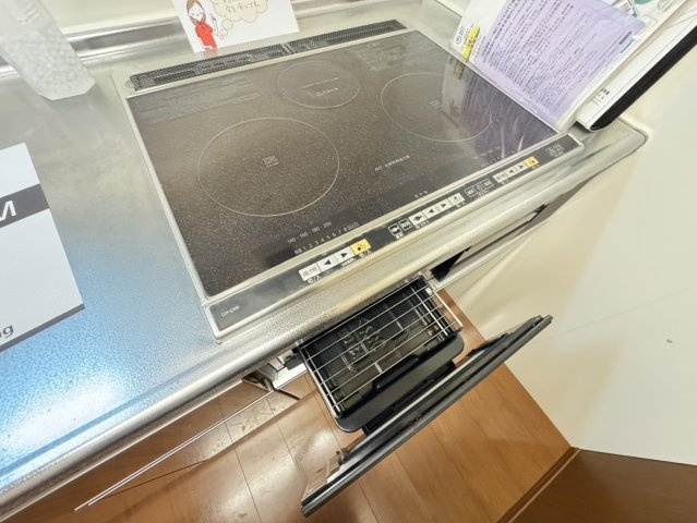 ハイデンスⅡのその他