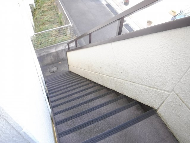 ファルコン堀口のその他