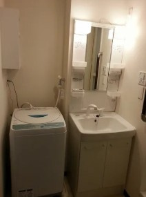 レオネクストハイドパークの洗面所