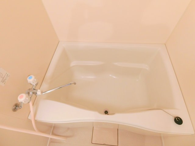 レジディア大森の浴室