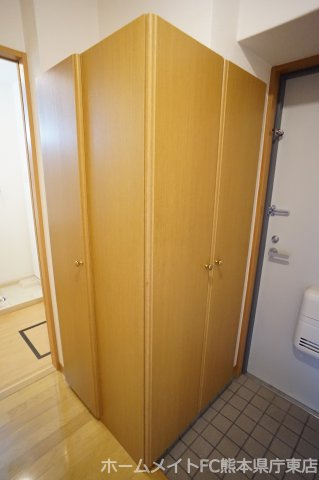 熊本市南区田井島２丁目の賃貸マンションの玄関