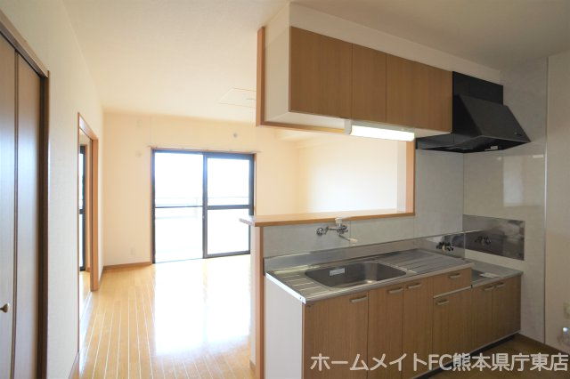 熊本市南区田井島２丁目の賃貸マンションの内装