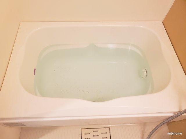 Sarnath海老江 仲介手数料無料の浴室