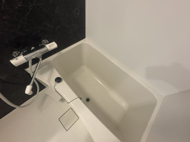 S-RESIDENCE江坂Eminenceの浴室