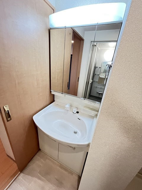 CASA  FELICEの洗面所