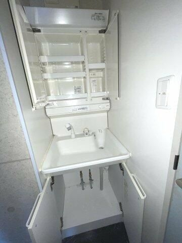 カーサルナの洗面所