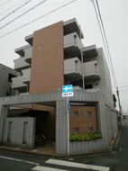 アンナマリーの画像
