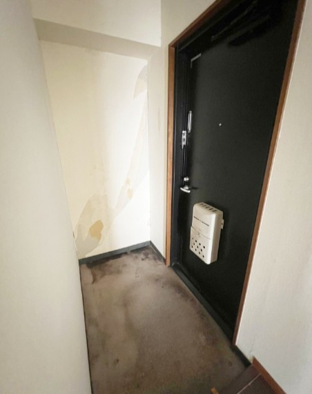大和市大和南２丁目の賃貸マンションの玄関