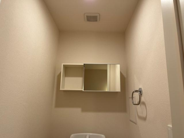 ドロイトＭＳのトイレ|トイレ収納