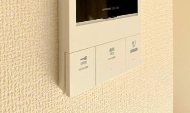 リーブルファイン浦和美園のセキュリティ