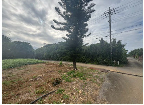 石垣市字野底の前面道路含む現地写真