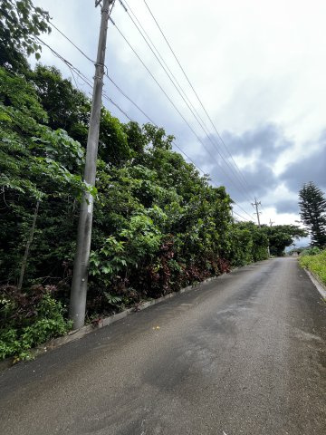 石垣市字野底の前面道路含む現地写真