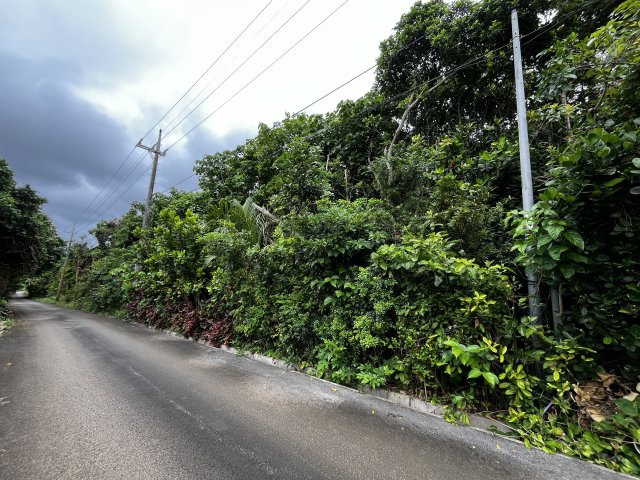 石垣市字野底の前面道路含む現地写真