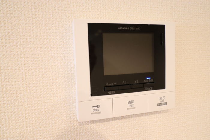セレスティア藤江町のセキュリティ