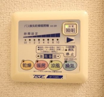 アムール　アローのその他