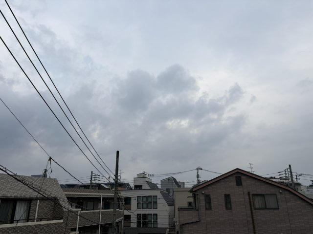 【展望】