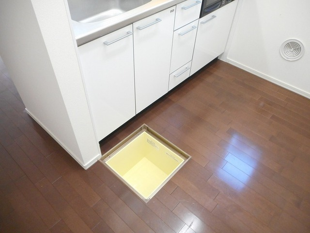 Ｍａｉｓｏｎ　ＡＯＢＡの設備|床下収納