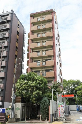 ダイナコート六本松Ⅲ　8階