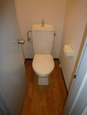 秀和麻布笄町レジデンスのトイレ|トイレもきれいです