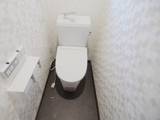 ボイス大河のトイレ