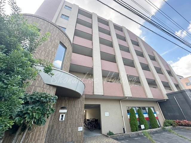 シャンゼリゼ高根の外観