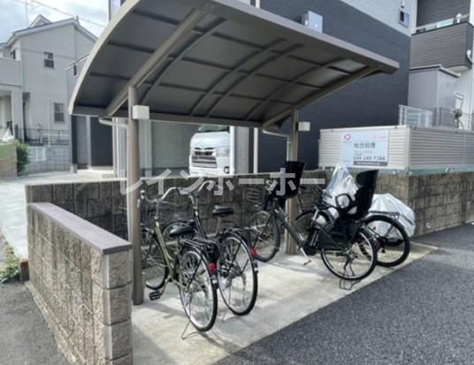 カラコレスのその他