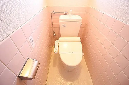 川崎市多摩区菅北浦２丁目の賃貸マンションのトイレ