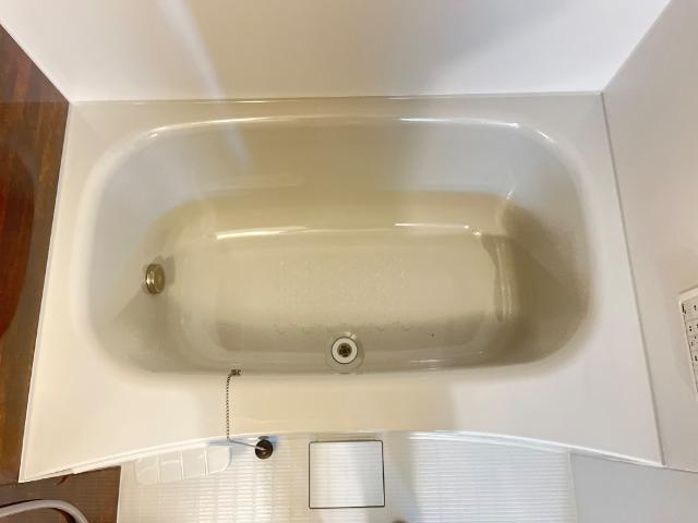 バス