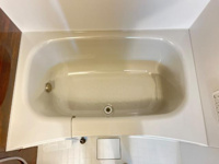 バス
