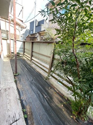 庭