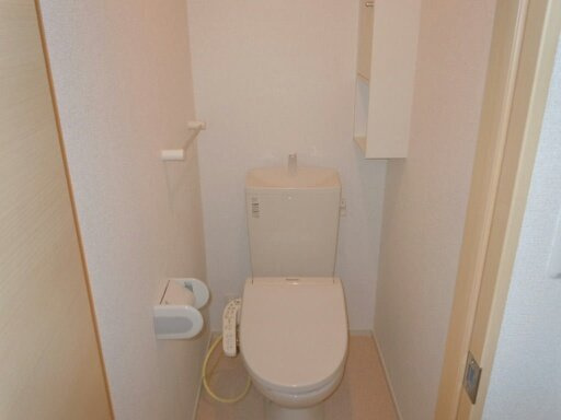 落ち着いた色調のトイレです