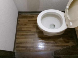コンパクトで使いやすいトイレです