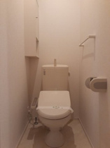 落ち着いた色調のトイレです