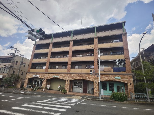 【その他】 | サザンクロス
