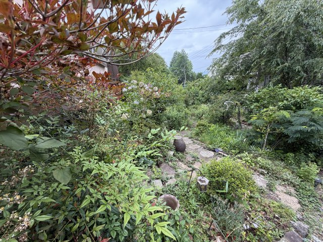 函南町　伊豆エメラルドタウン別荘地の庭
