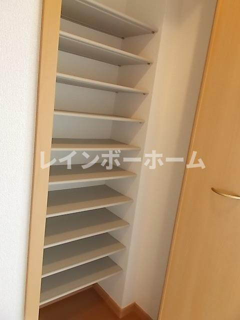 ブルーテルの収納