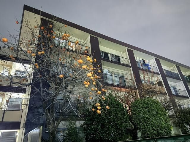 桜マンションの外観