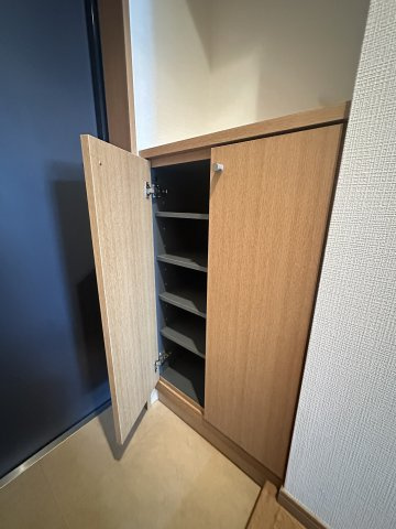 ラフィネスシャトードゥ赤坂の収納