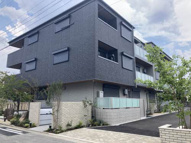 Arandanoの画像