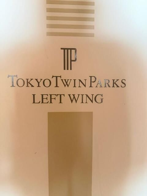 東京ツインパークス　レフトウィングのその他