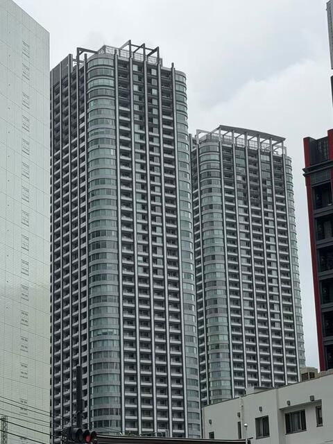 東京ツインパークス　レフトウィング