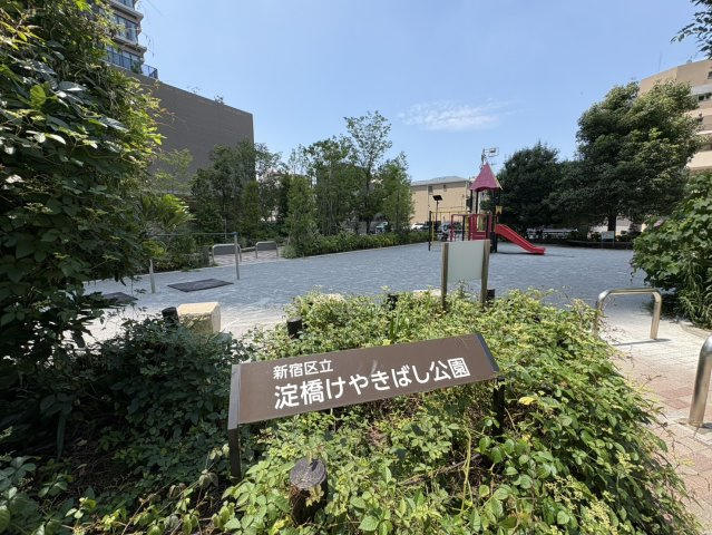 ザ・パークハウス西新宿タワー60の周辺|マンション向かいの公園です。