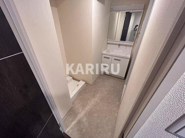 ベルンガーデン上本町の洗面所